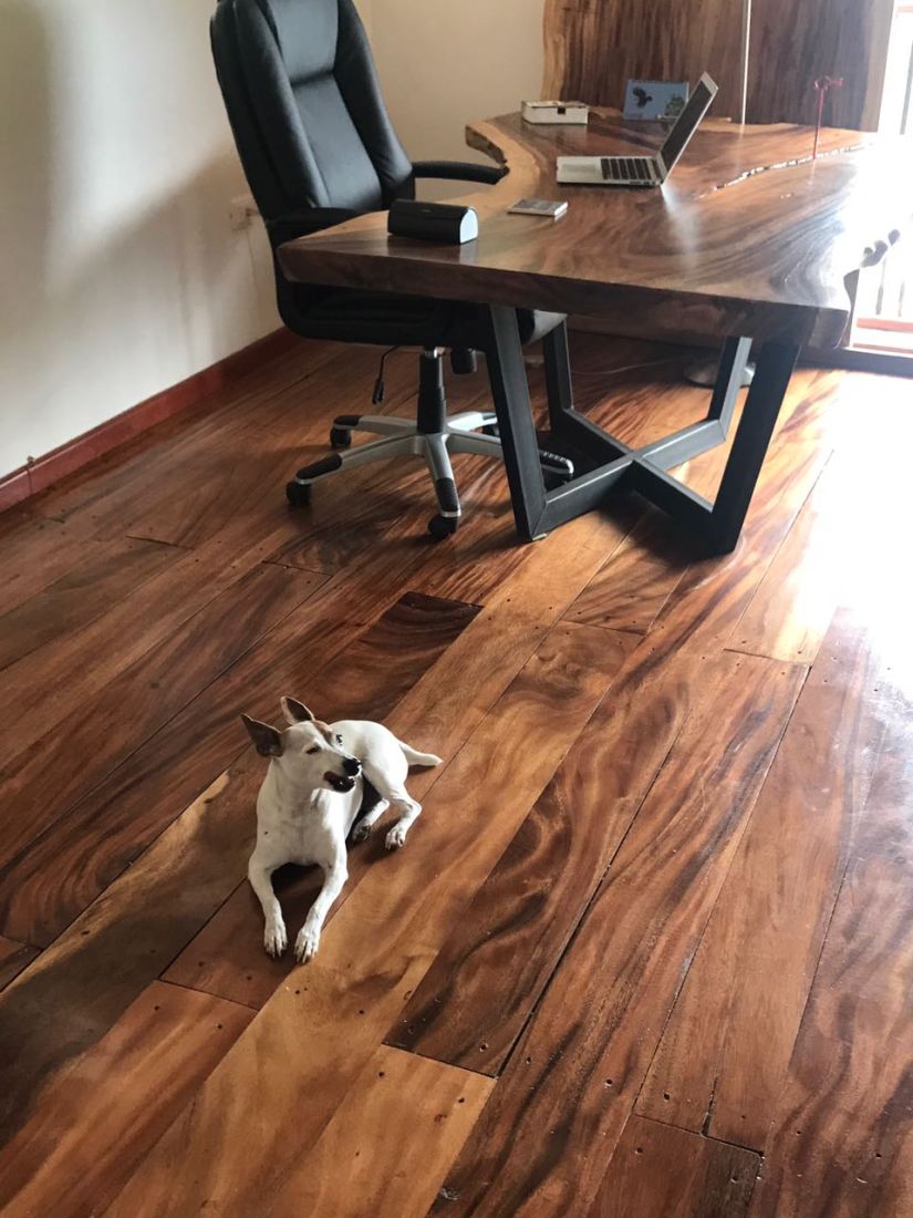 foto suelo y escritorio