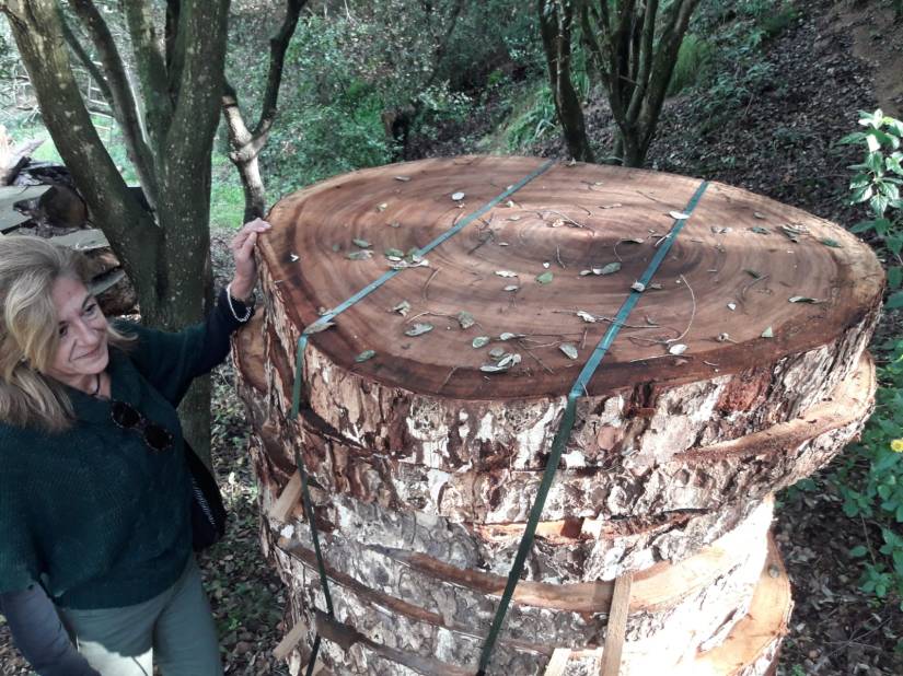 fotos momnedas Amber