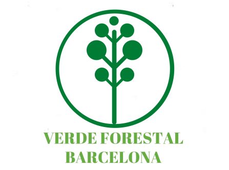 LOGO VERDE FORESTAL BCN